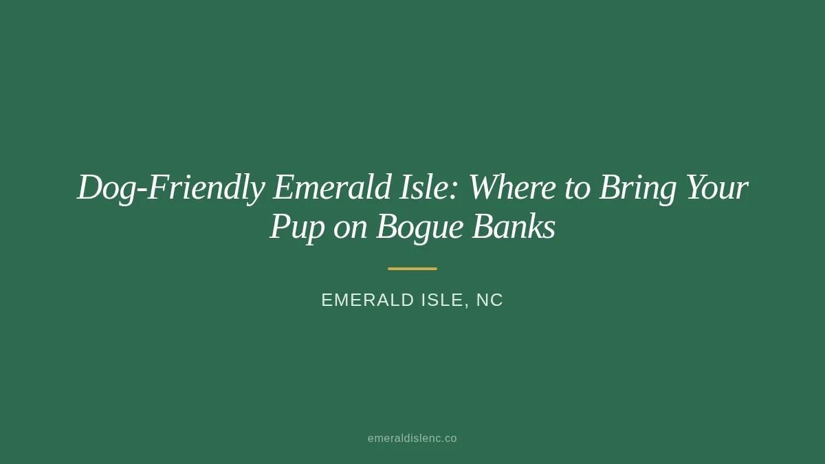 Dog walking on the beach in Emerald Isle, NC on the Crystal Coast